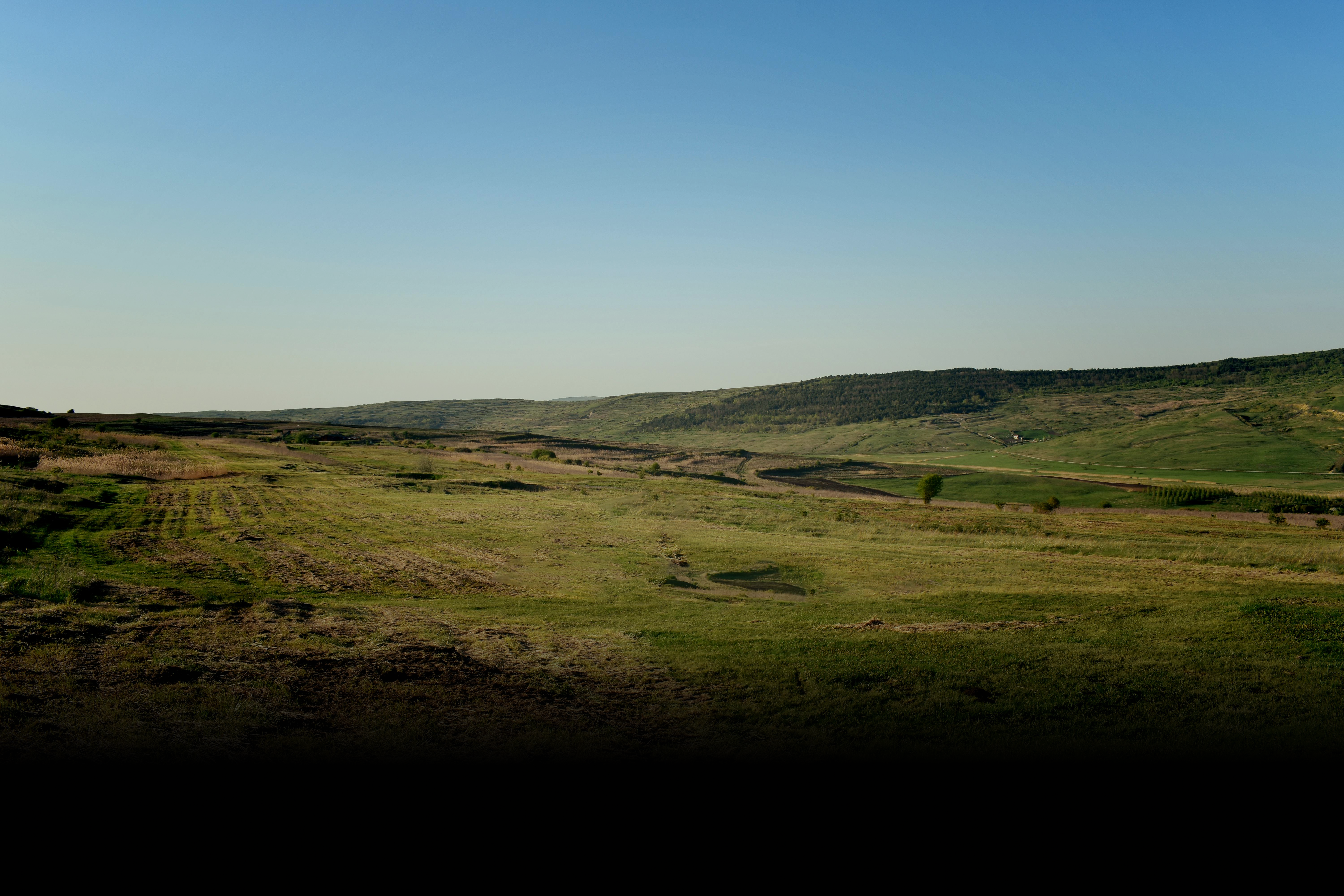 fundo campo agrícola