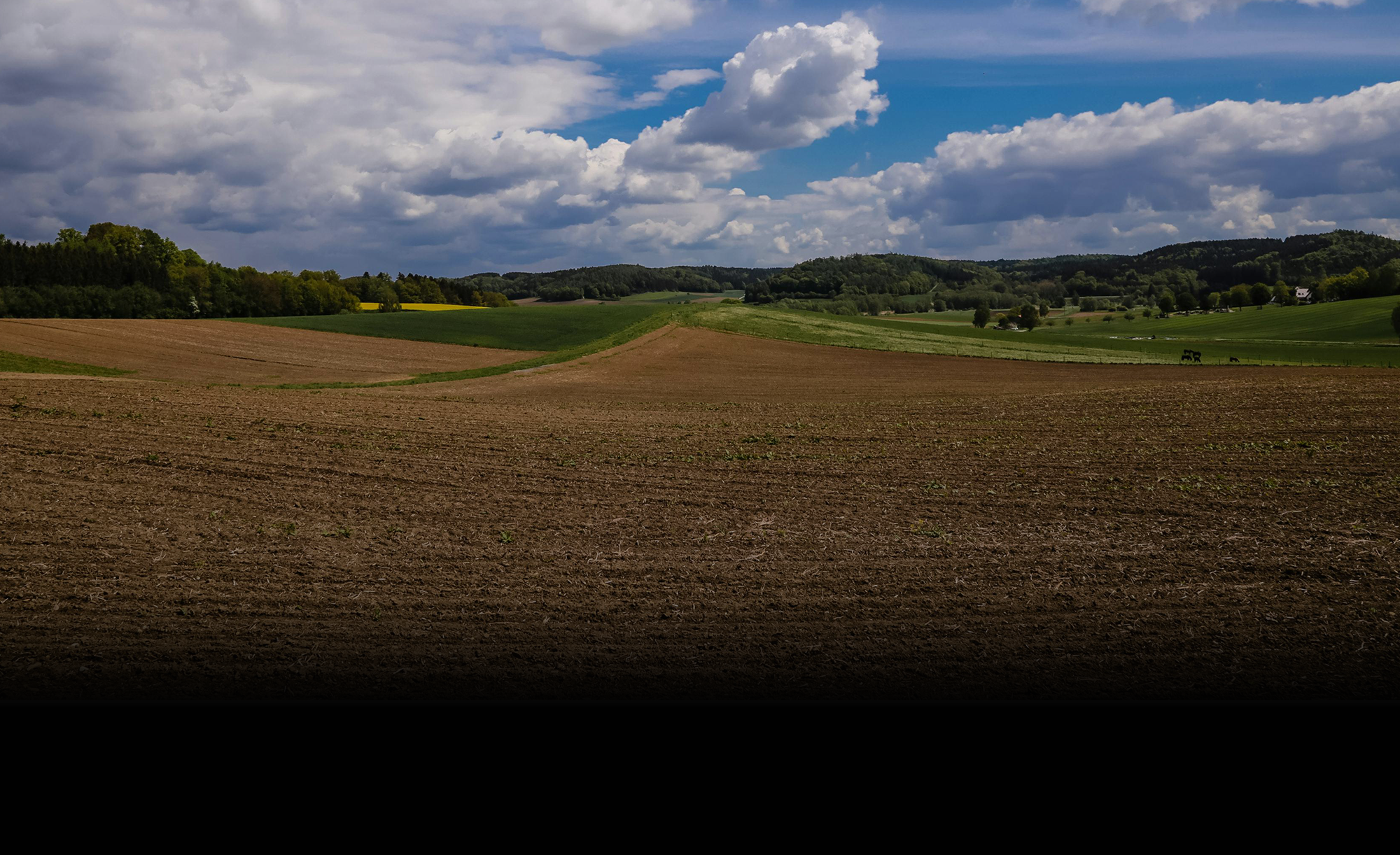 fundo campo agrícola
